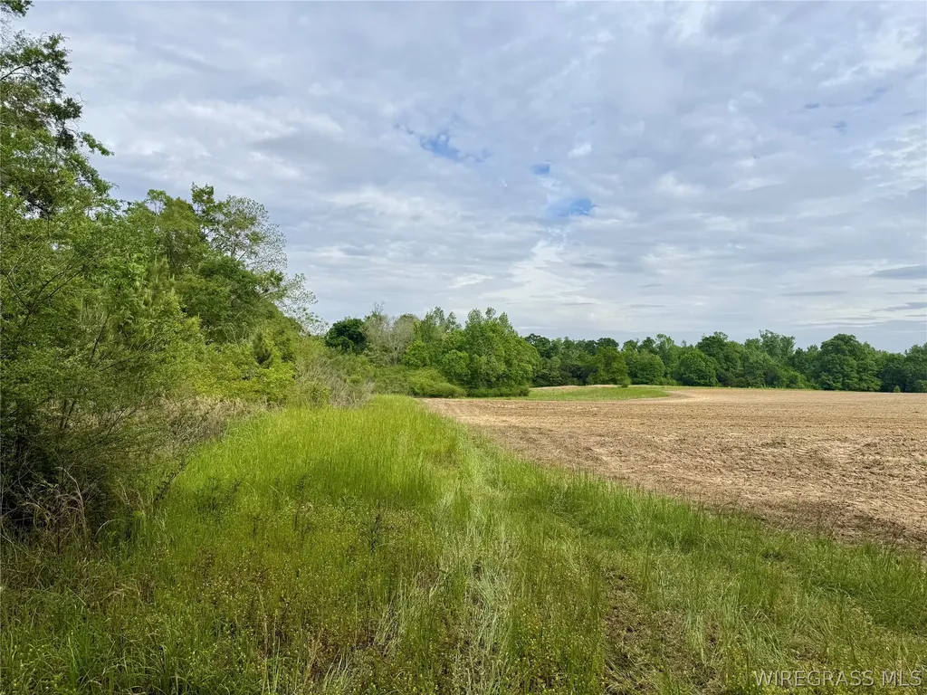 50 Dillard Road AL 36370