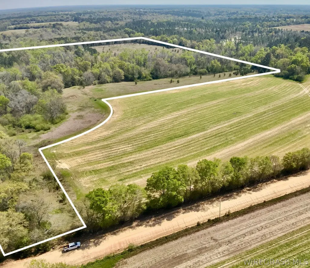 50 Dillard Road AL 36370