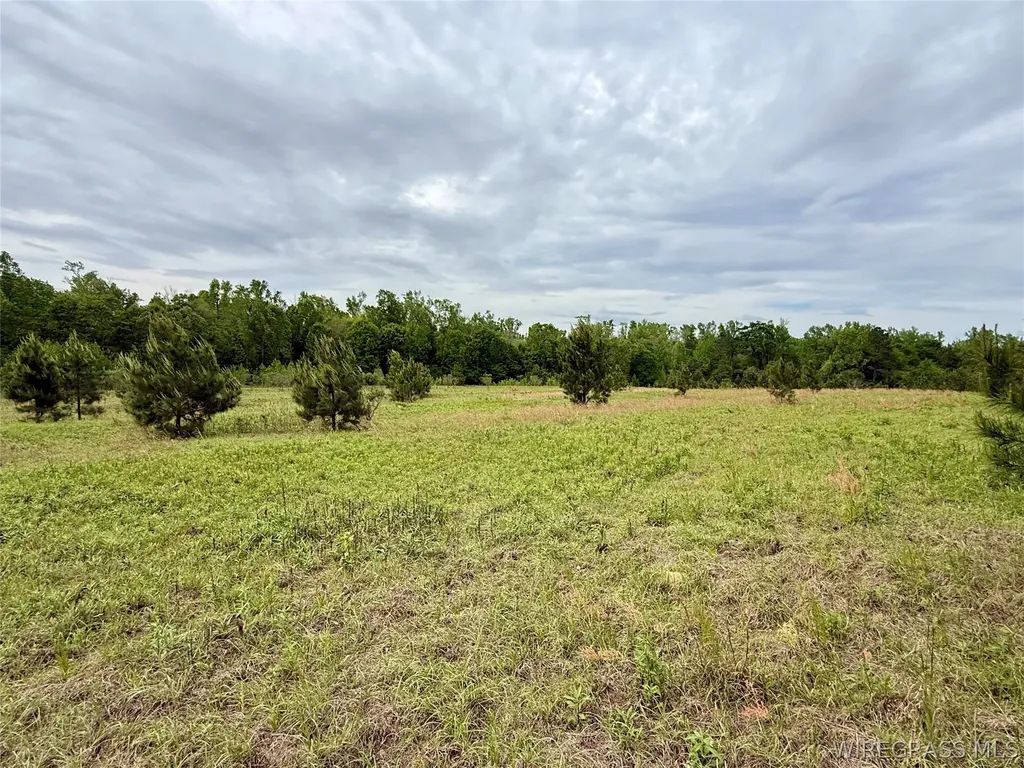 50 Dillard Road AL 36370
