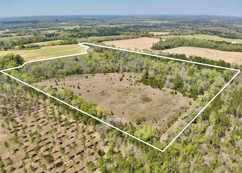 50 Dillard Road AL 36370