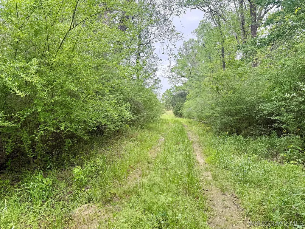 50 Dillard Road AL 36370