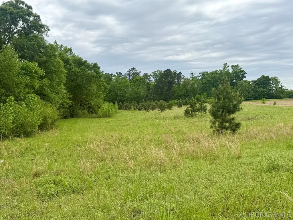 50 Dillard Road AL 36370