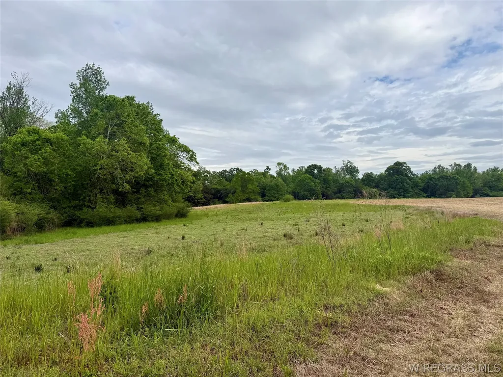 50 Dillard Road AL 36370