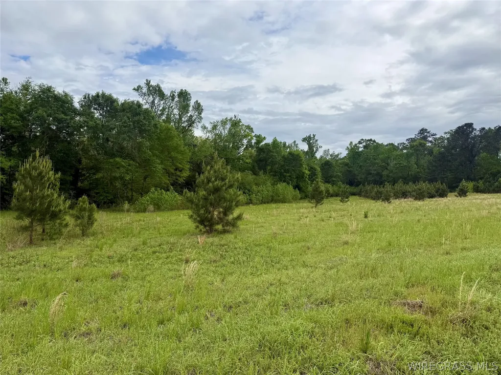 50 Dillard Road AL 36370