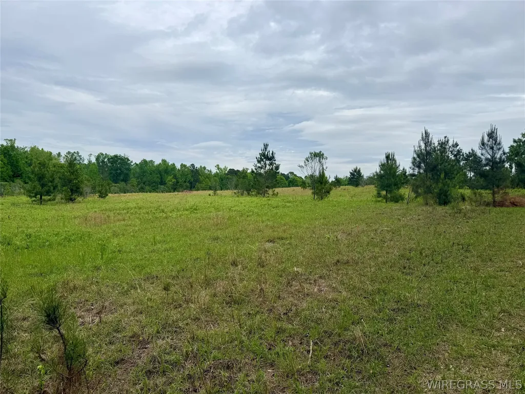 50 Dillard Road AL 36370