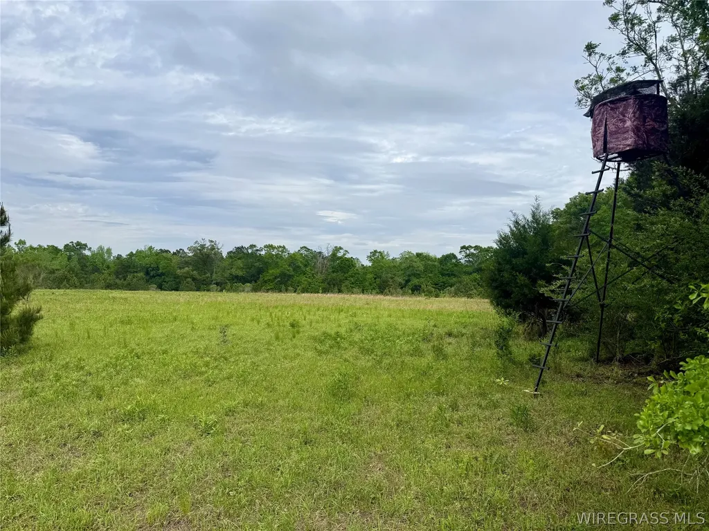 50 Dillard Road AL 36370