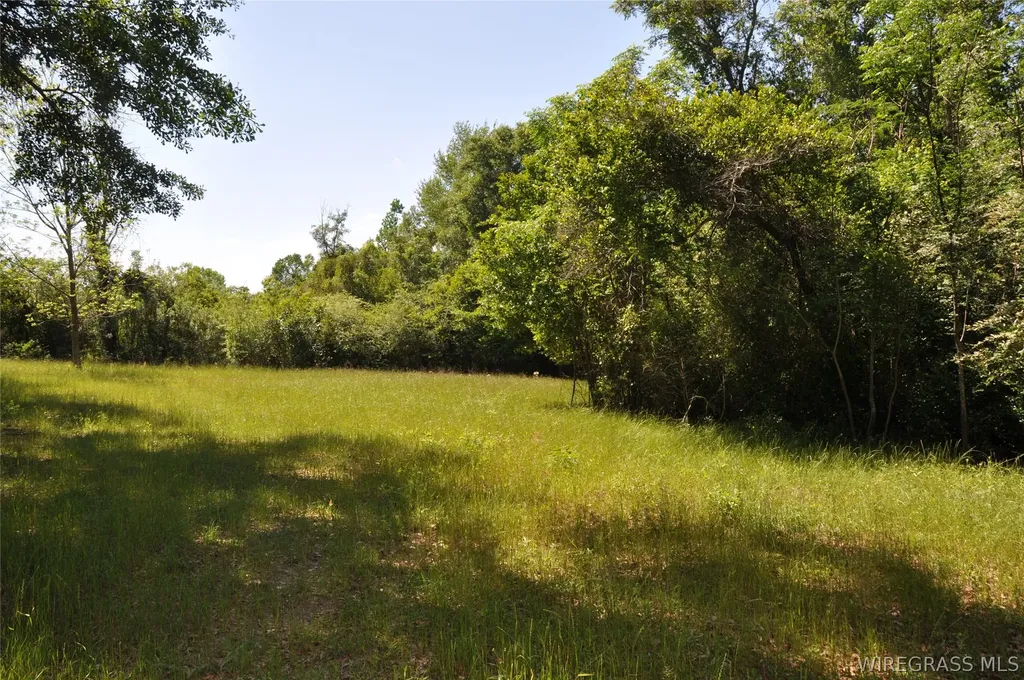 910 Holley Mill Road Samson AL 36477