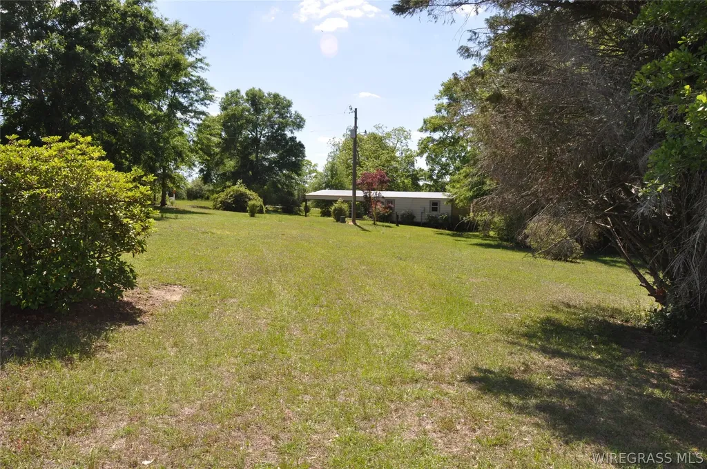 910 Holley Mill Road Samson AL 36477