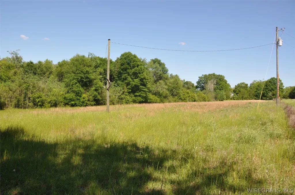 910 Holley Mill Road Samson AL 36477