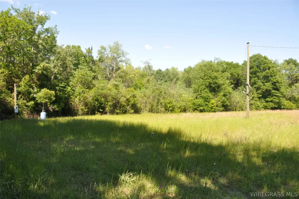 910 Holley Mill Road Samson AL 36477