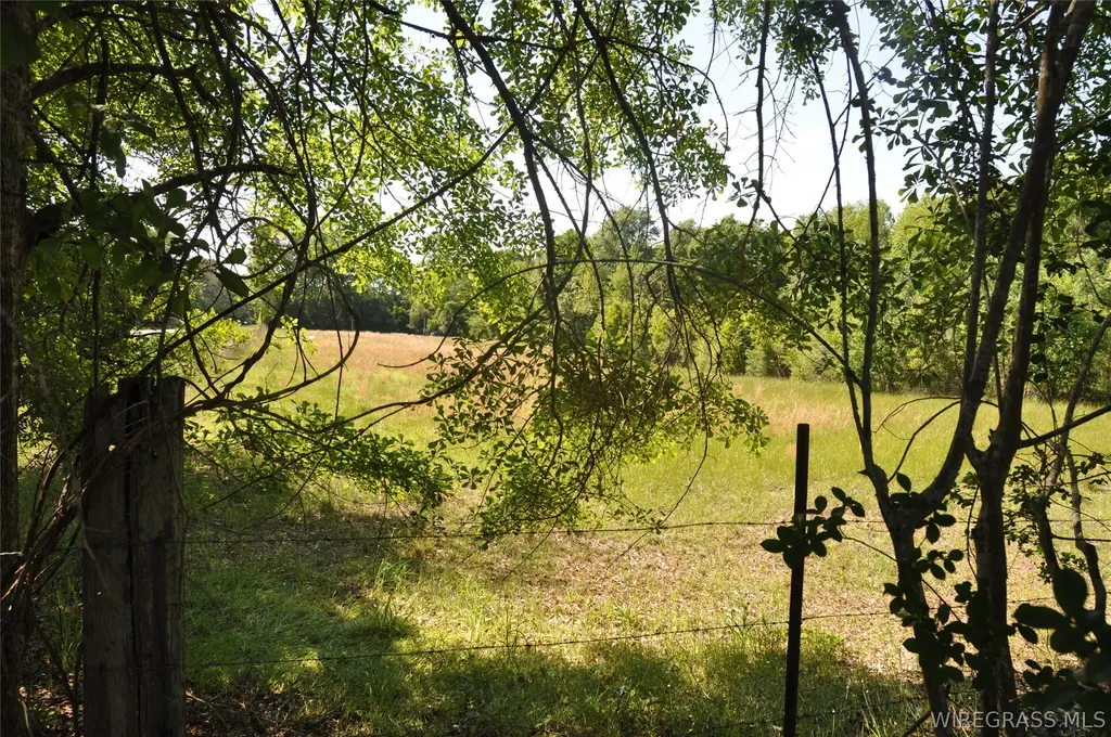 910 Holley Mill Road Samson AL 36477