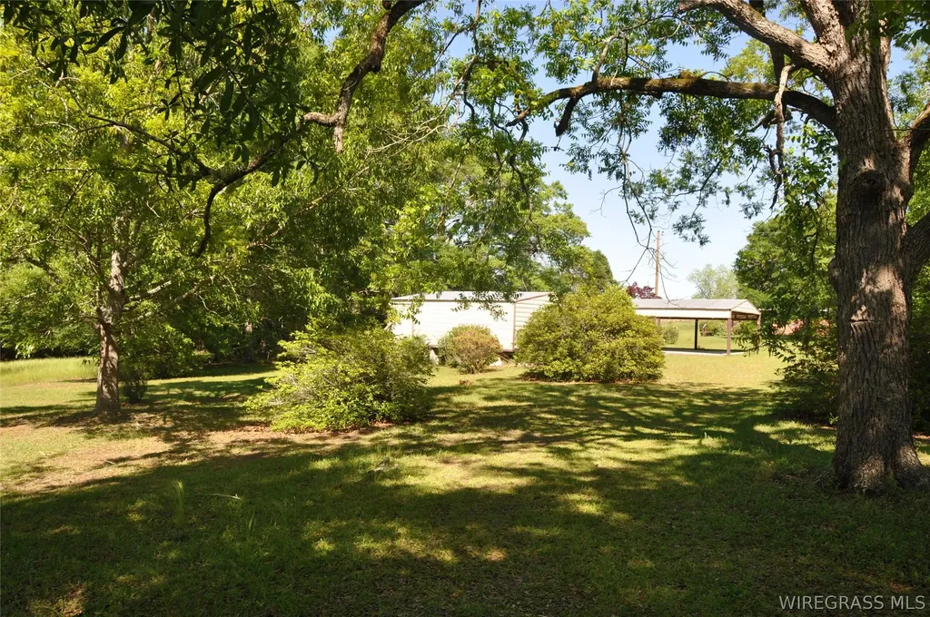 910 Holley Mill Road Samson AL 36477