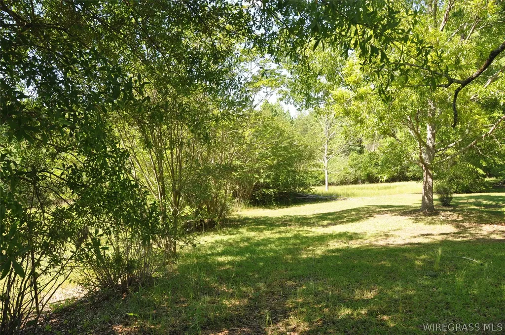 910 Holley Mill Road Samson AL 36477