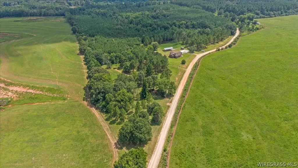 325 County Road 471 Kinston AL 36453