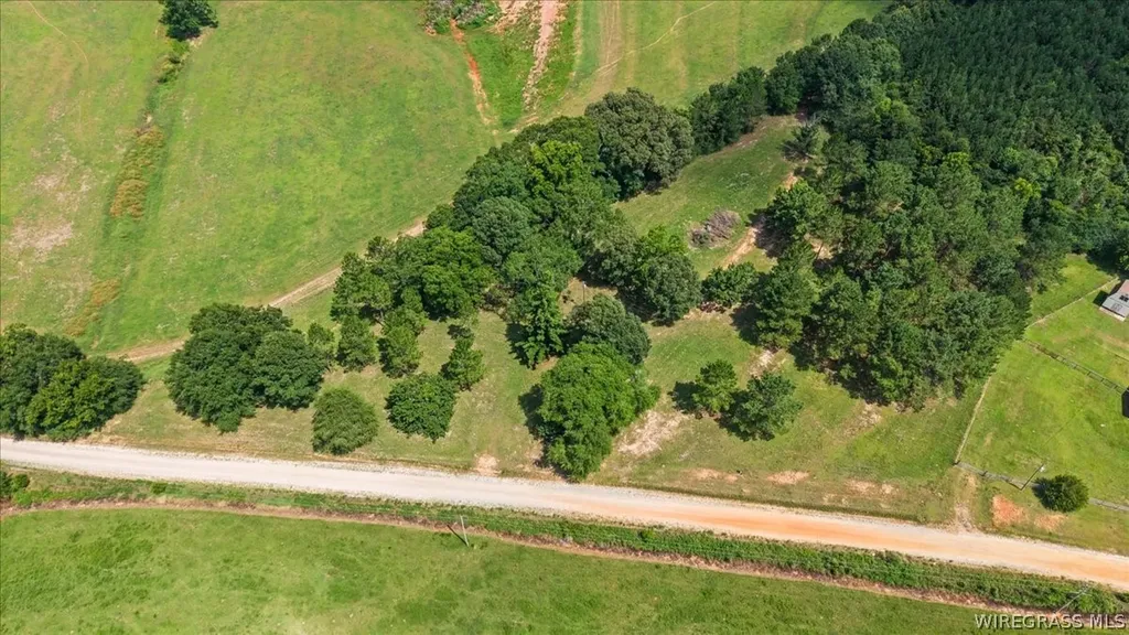 325 County Road 471 Kinston AL 36453