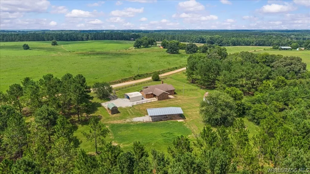 325 County Road 471 Kinston AL 36453