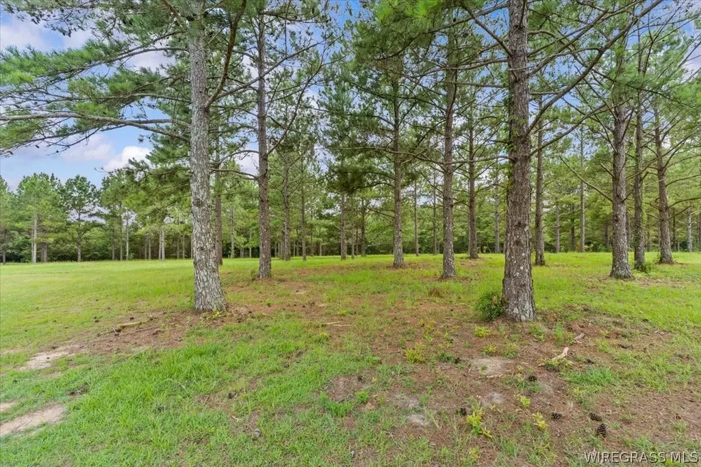 325 County Road 471 Kinston AL 36453