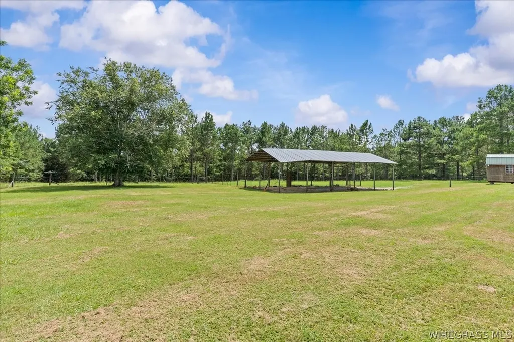 325 County Road 471 Kinston AL 36453