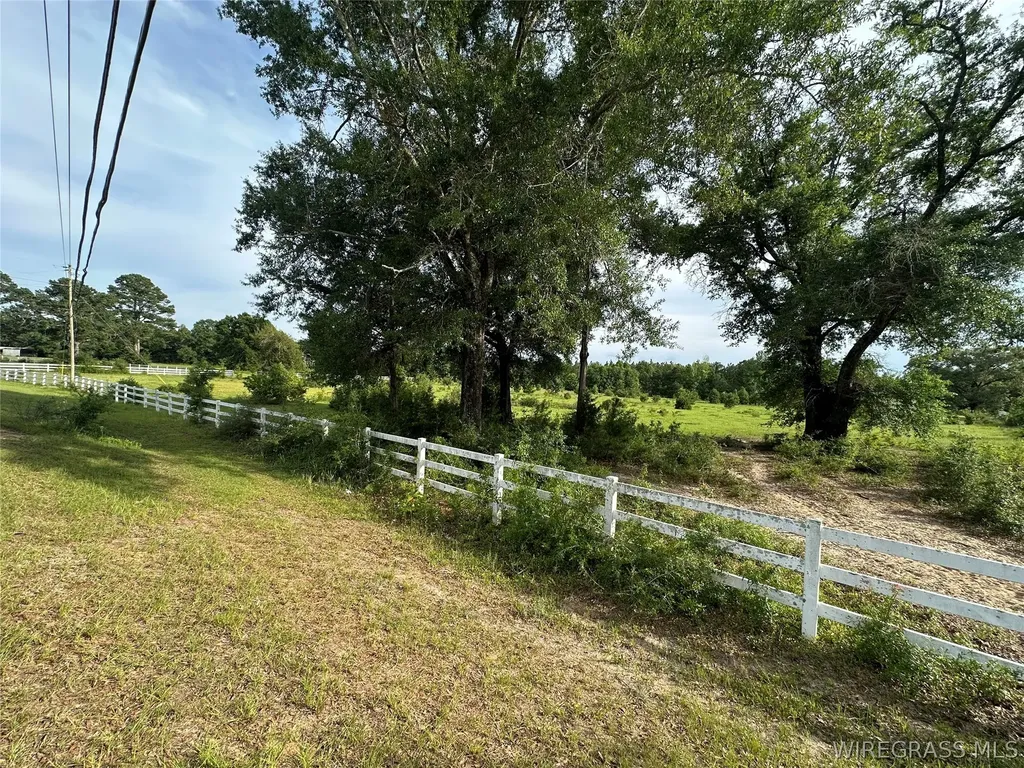 3038 Logan Road Ozark AL 36360