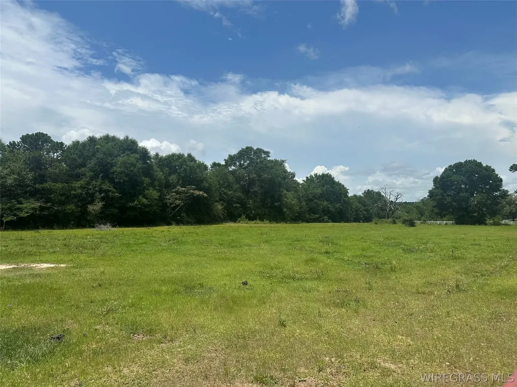 3038 Logan Road Ozark AL 36360