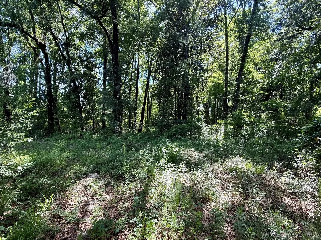 60 Hutton Road Hartford AL 36344