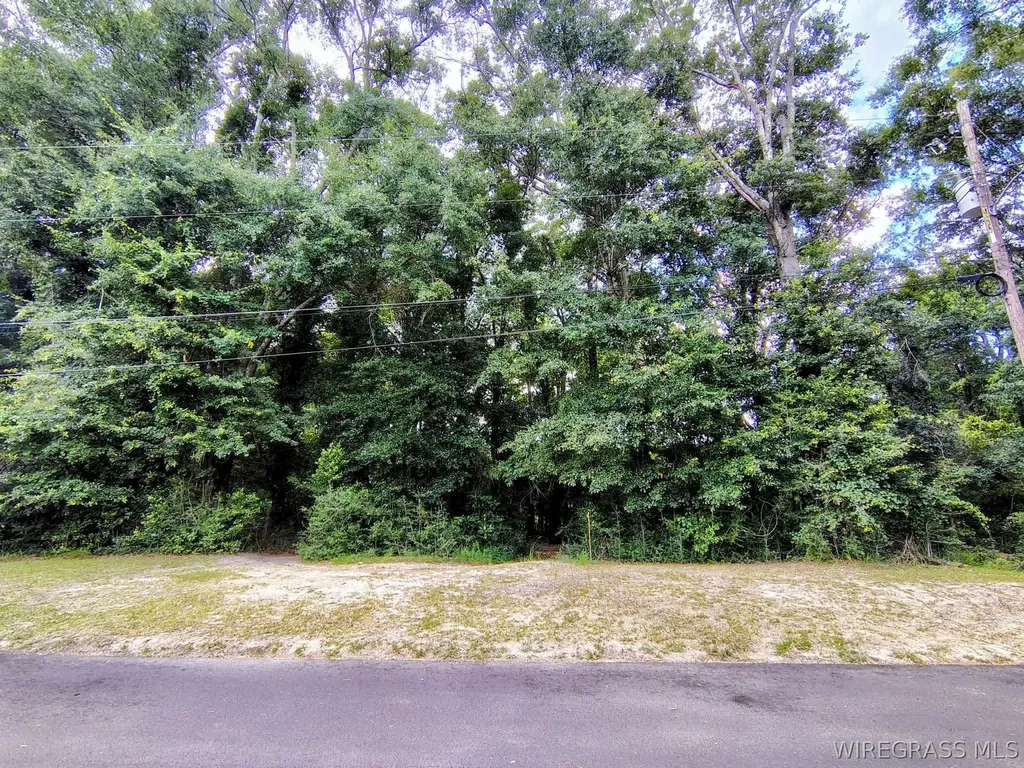 0 Baker Avenue Geneva AL 36340