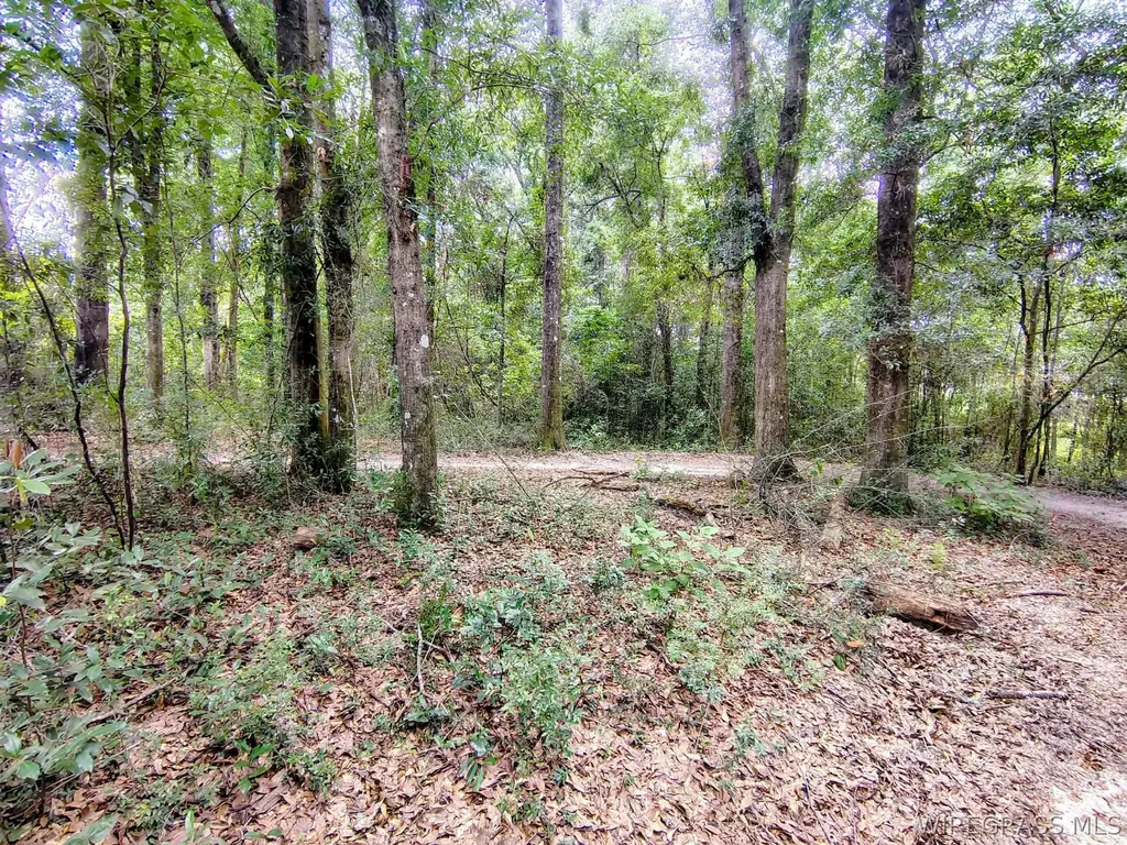 0 Baker Avenue Geneva AL 36340