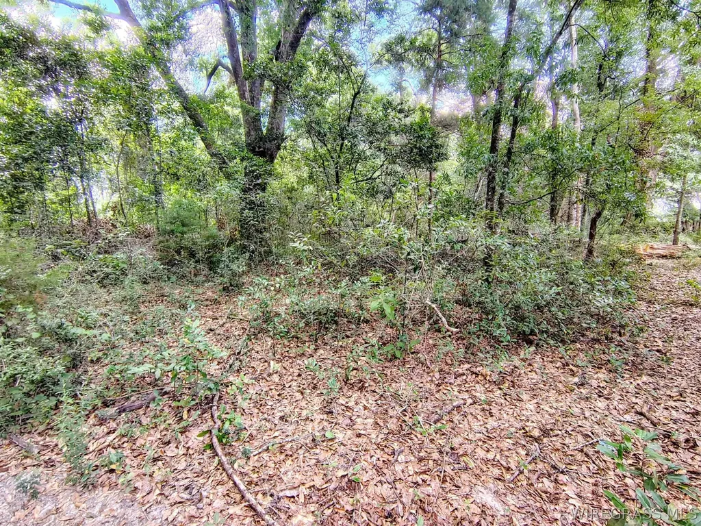 0 Baker Avenue Geneva AL 36340