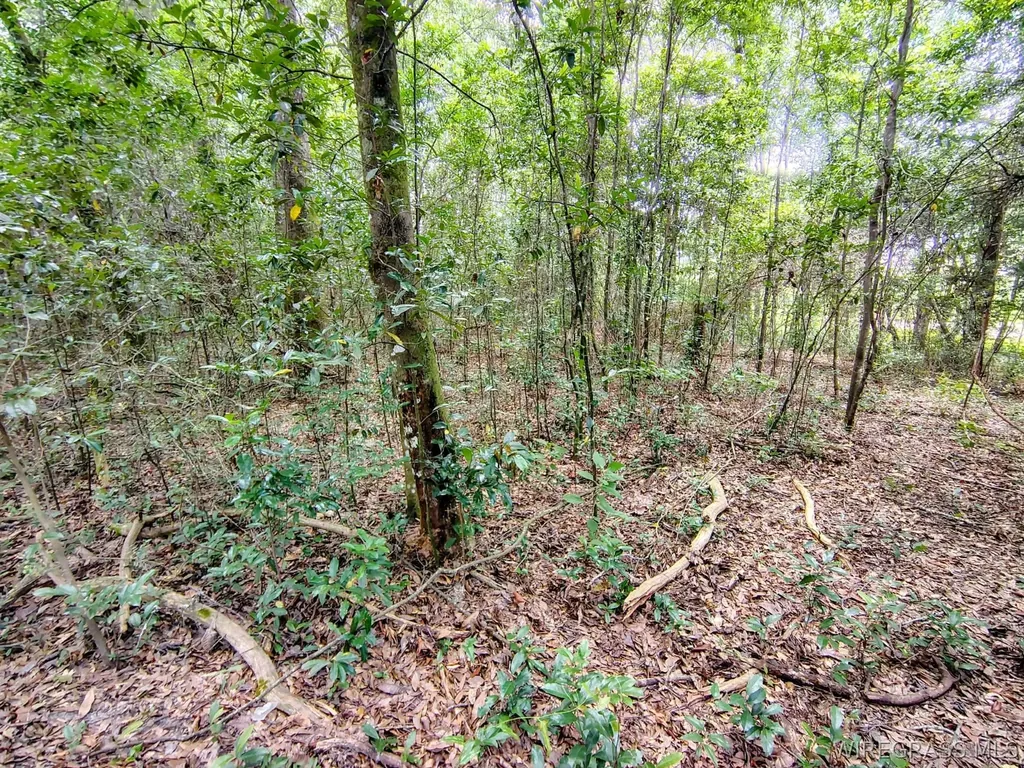 0 Baker Avenue Geneva AL 36340