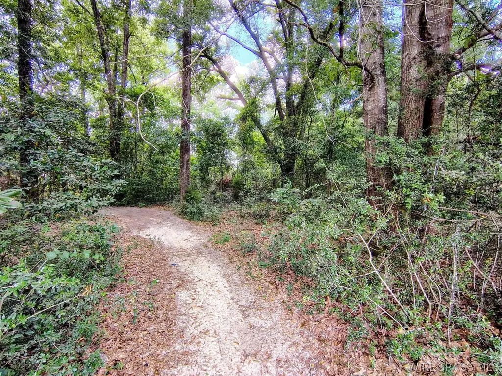 0 Baker Avenue Geneva AL 36340