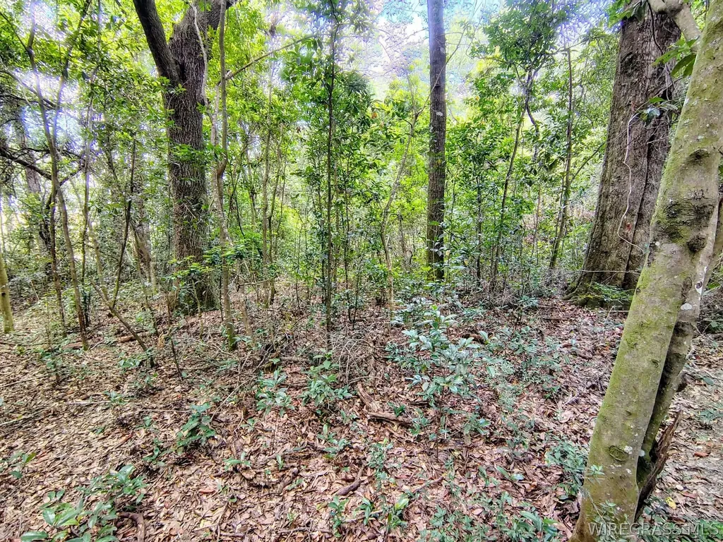 0 Baker Avenue Geneva AL 36340
