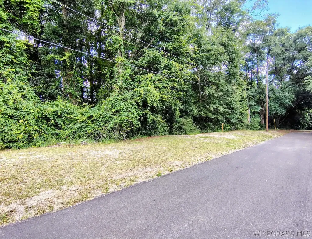 0 Baker Avenue Geneva AL 36340