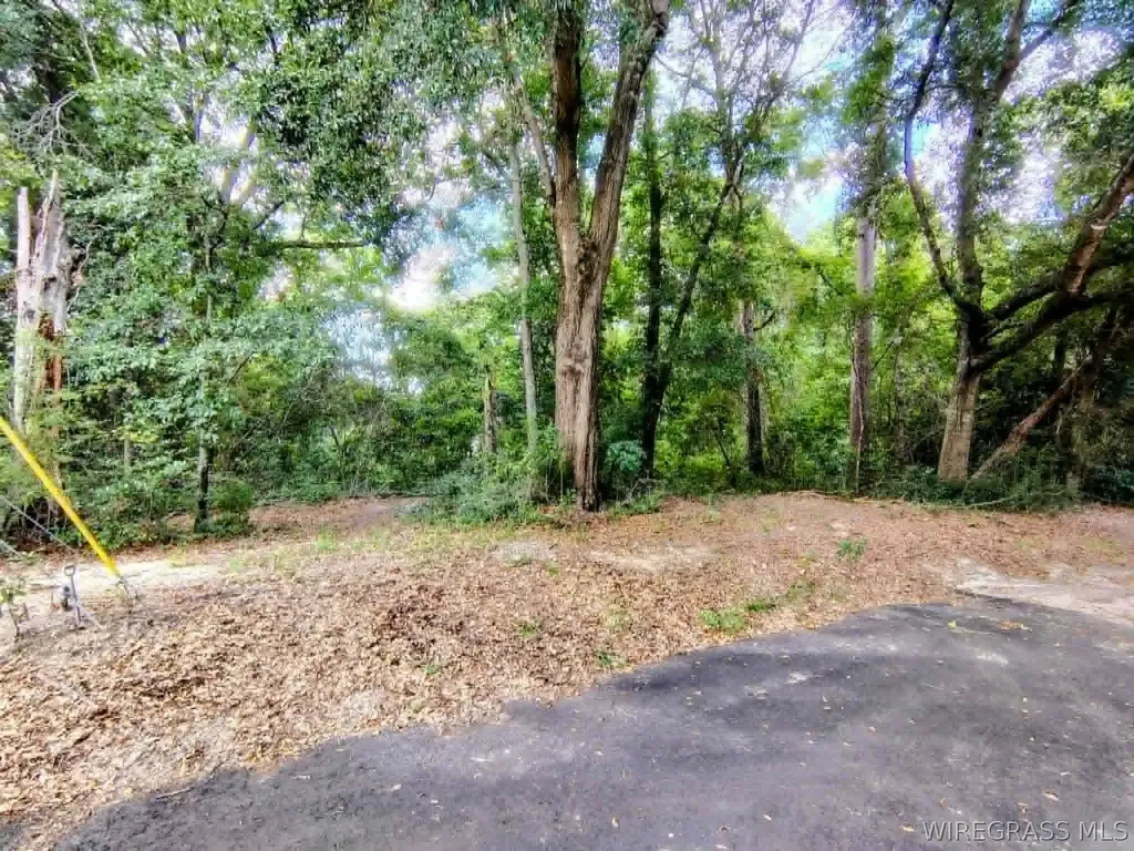 0 Baker Avenue Geneva AL 36340