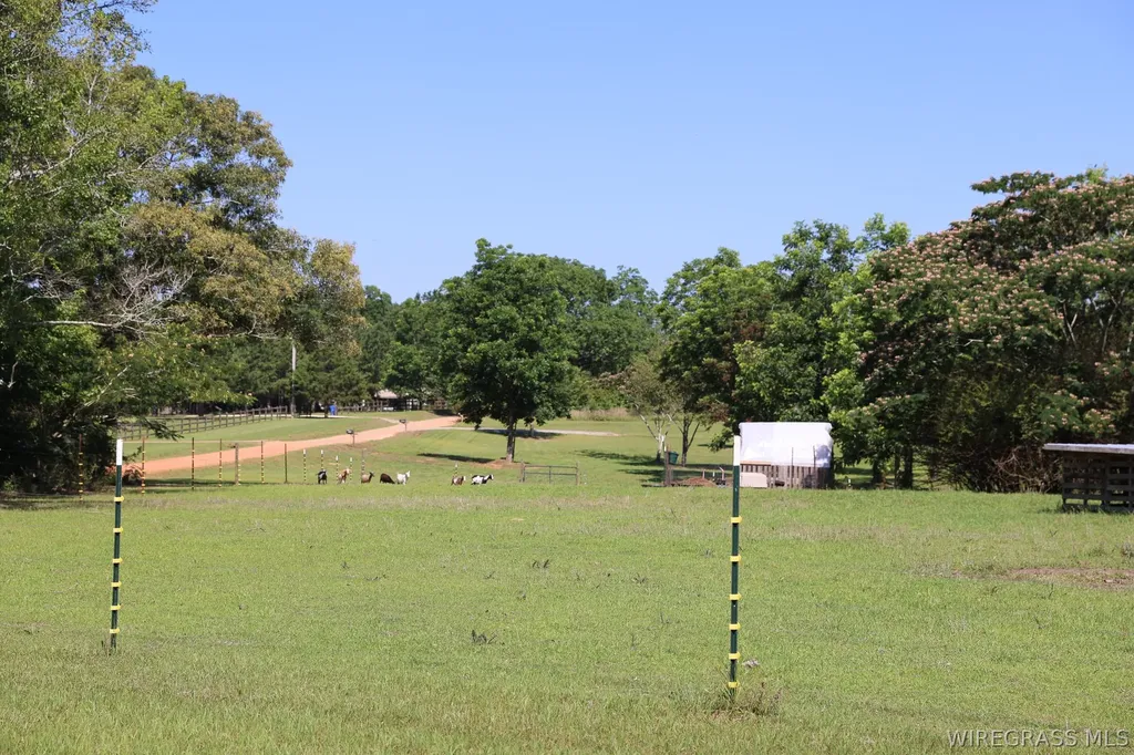 657 County Road 527 Road Elba AL 36323