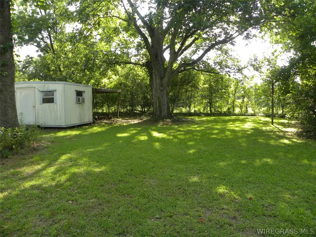 5332 County Road 69 Road Skipperville AL 36374