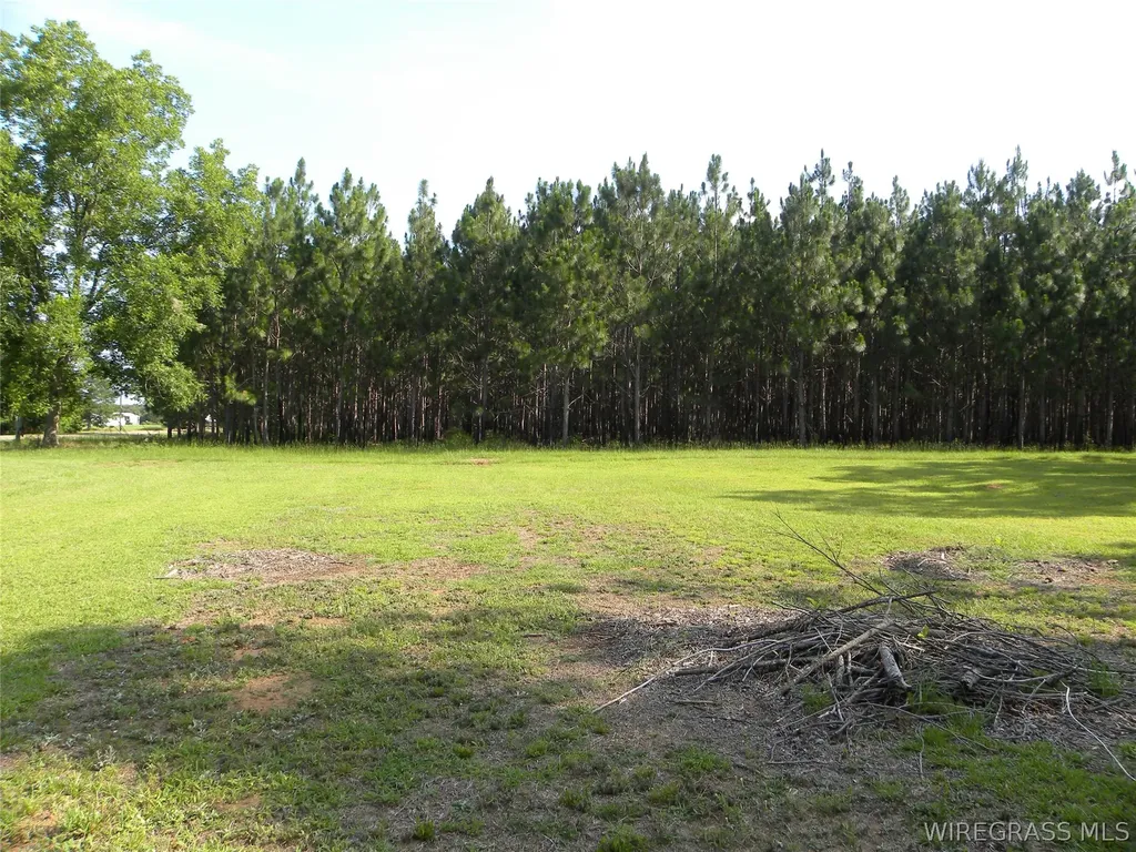 5332 County Road 69 Road Skipperville AL 36374