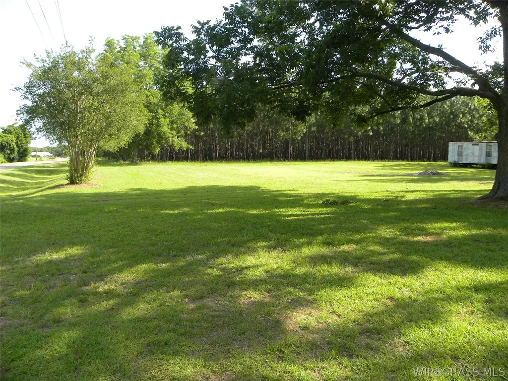 5332 County Road 69 Road Skipperville AL 36374