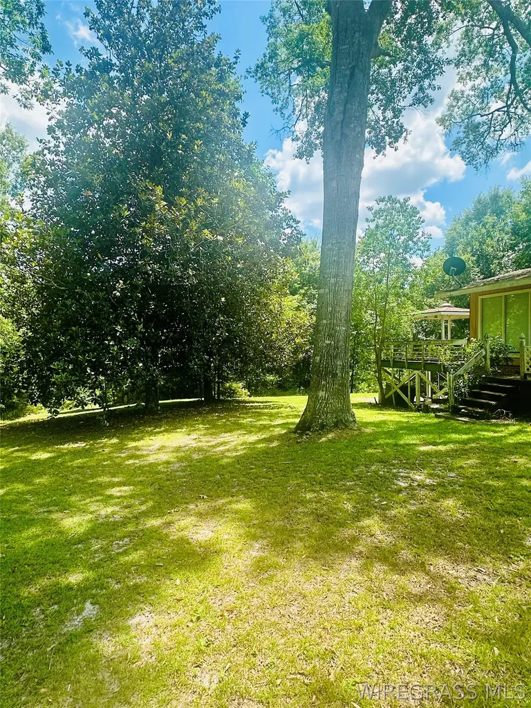 215 Morgan Lane Ozark AL 36360