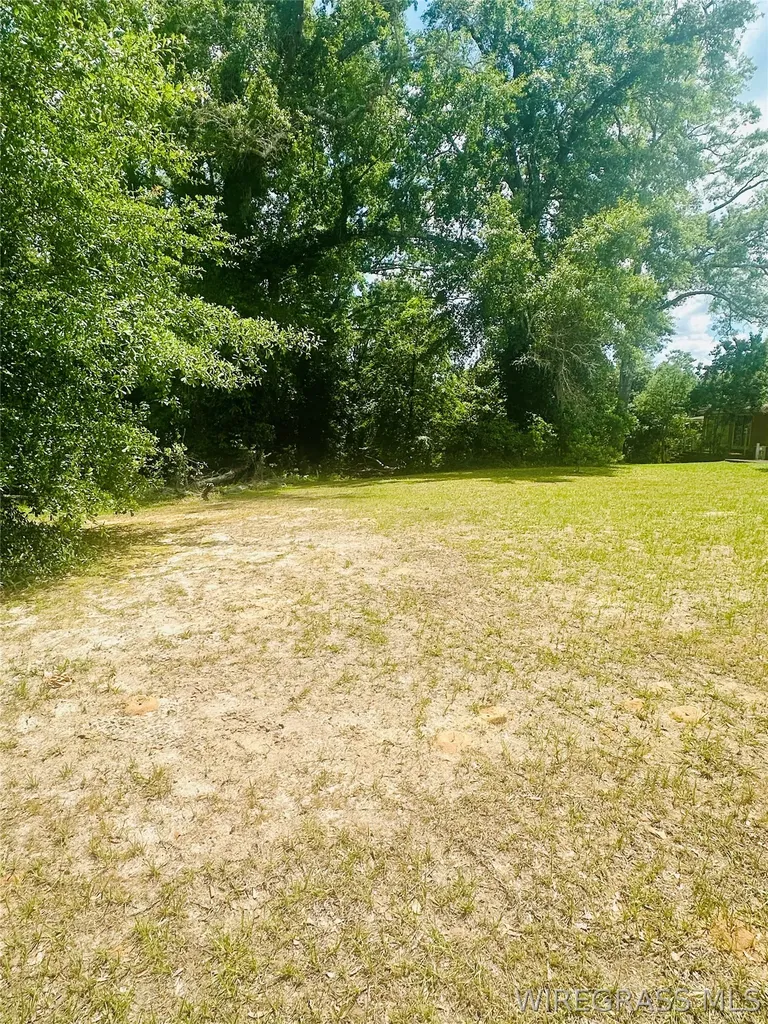 215 Morgan Lane Ozark AL 36360