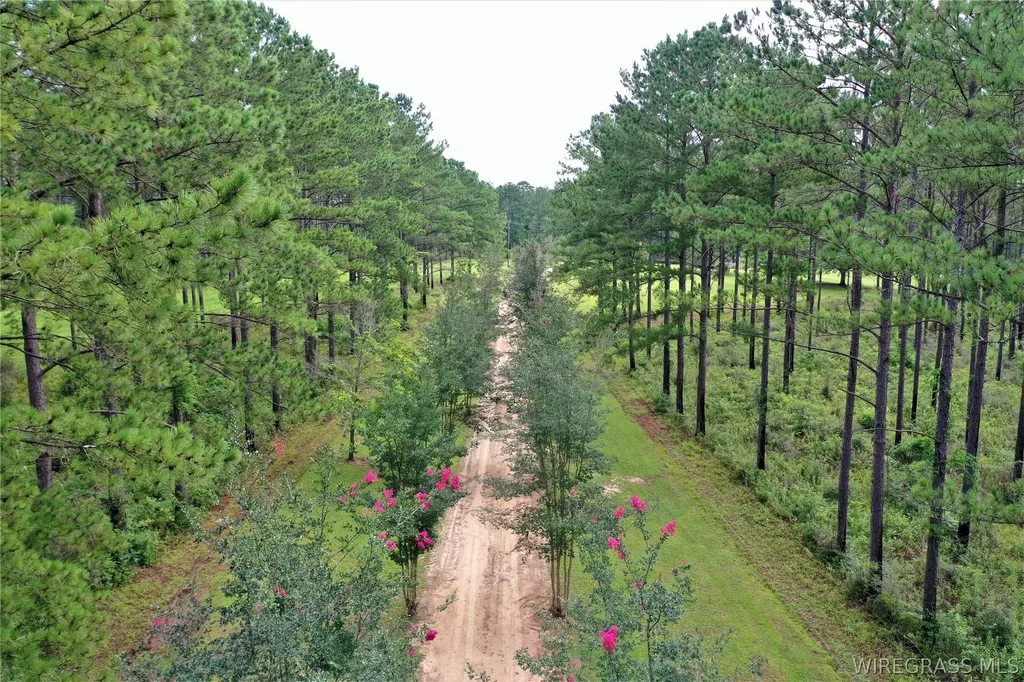 26775 Weaver Place Road Opp AL 36467