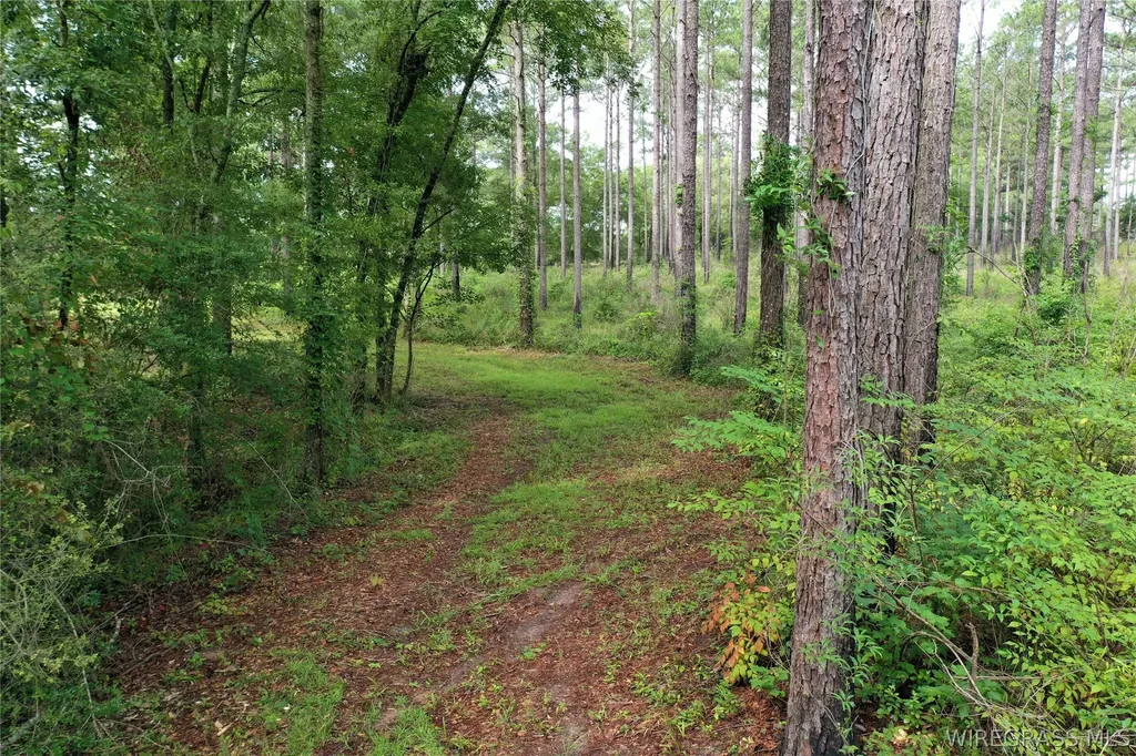 26775 Weaver Place Road Opp AL 36467