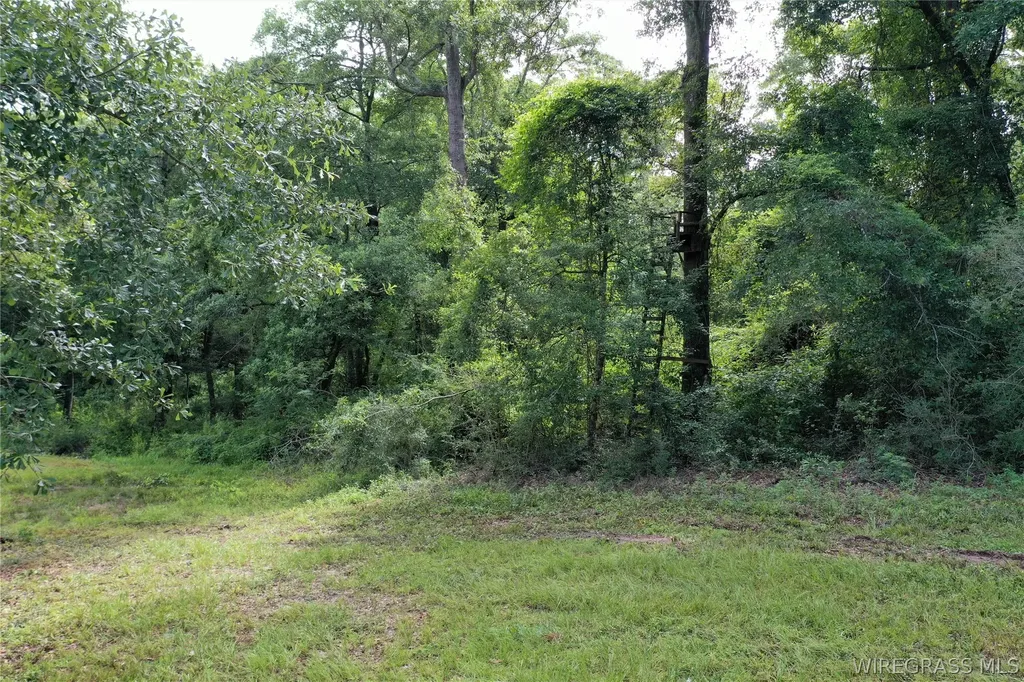 26775 Weaver Place Road Opp AL 36467