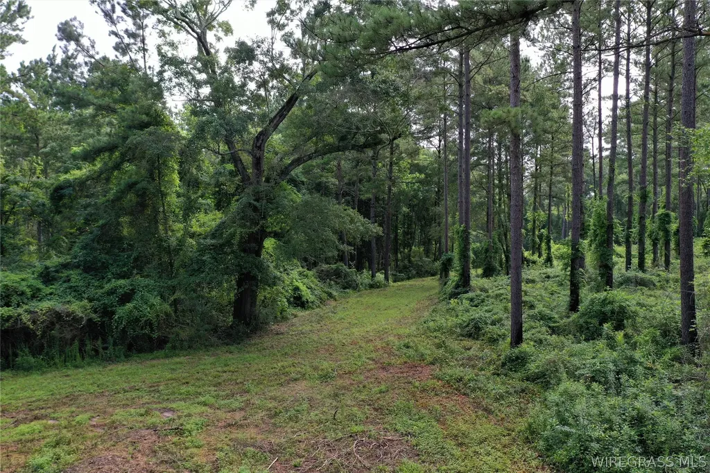 26775 Weaver Place Road Opp AL 36467