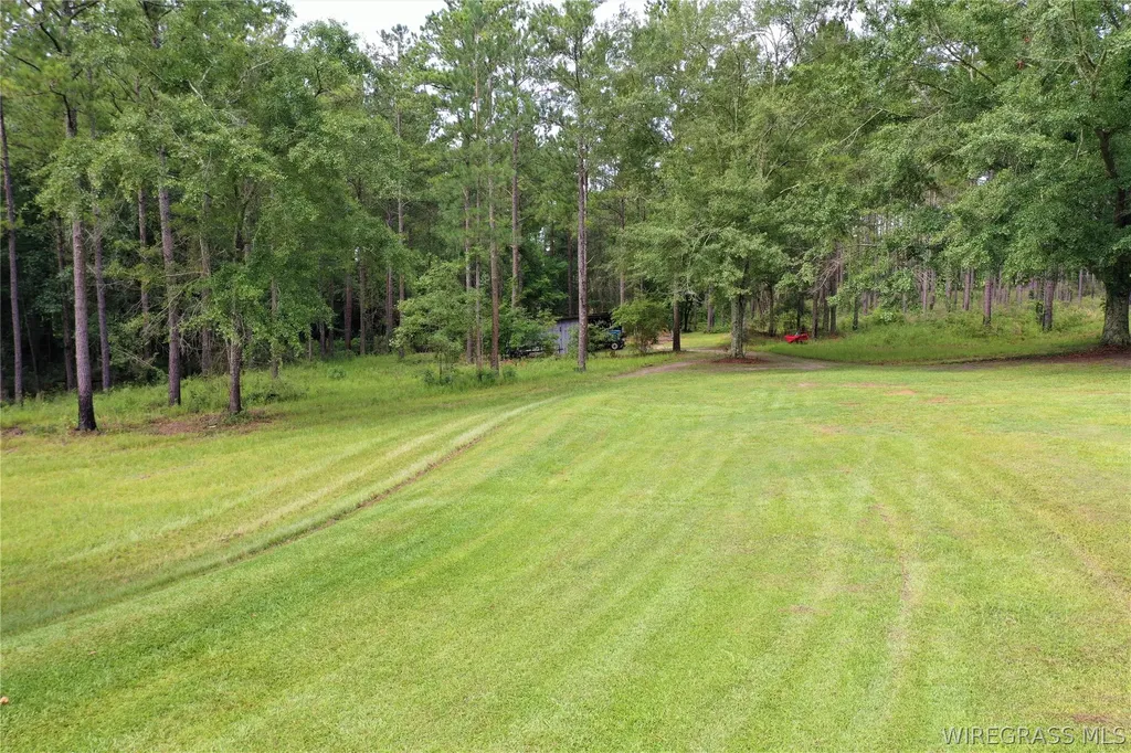 26775 Weaver Place Road Opp AL 36467
