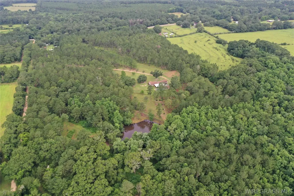 26775 Weaver Place Road Opp AL 36467