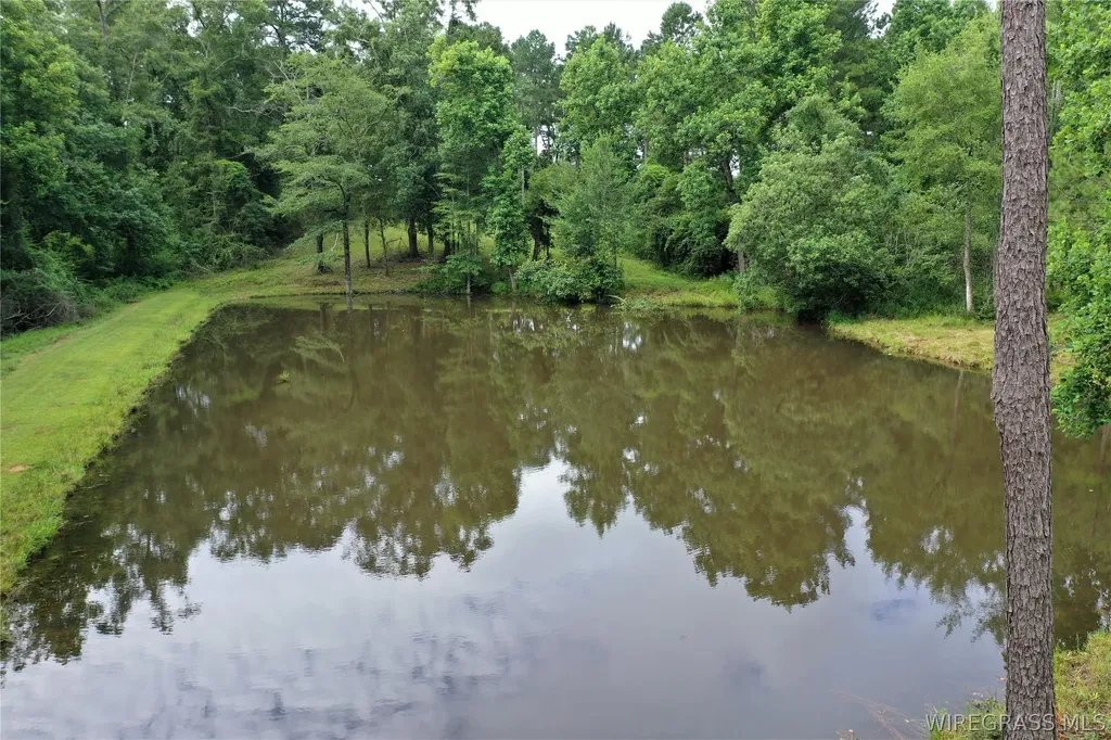 26775 Weaver Place Road Opp AL 36467