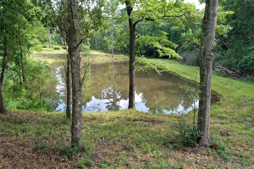 26775 Weaver Place Road Opp AL 36467