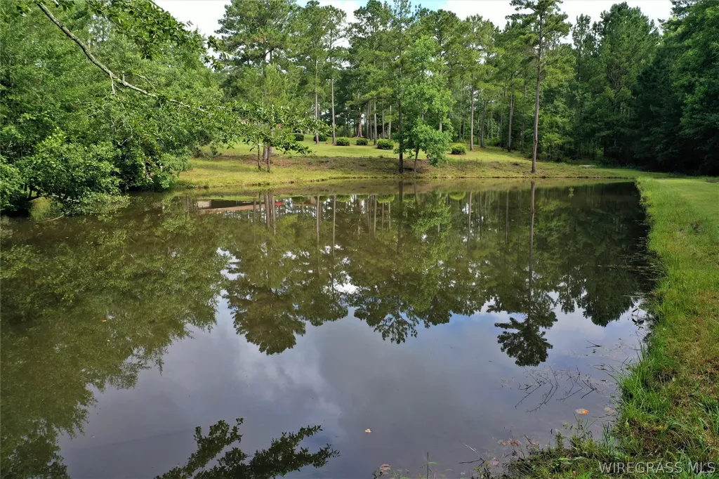 26775 Weaver Place Road Opp AL 36467