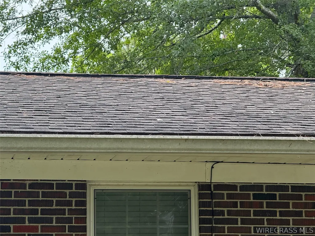 1203 W Pine Avenue Geneva AL 36340