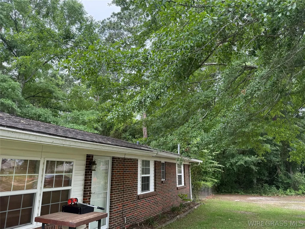 1203 W Pine Avenue Geneva AL 36340